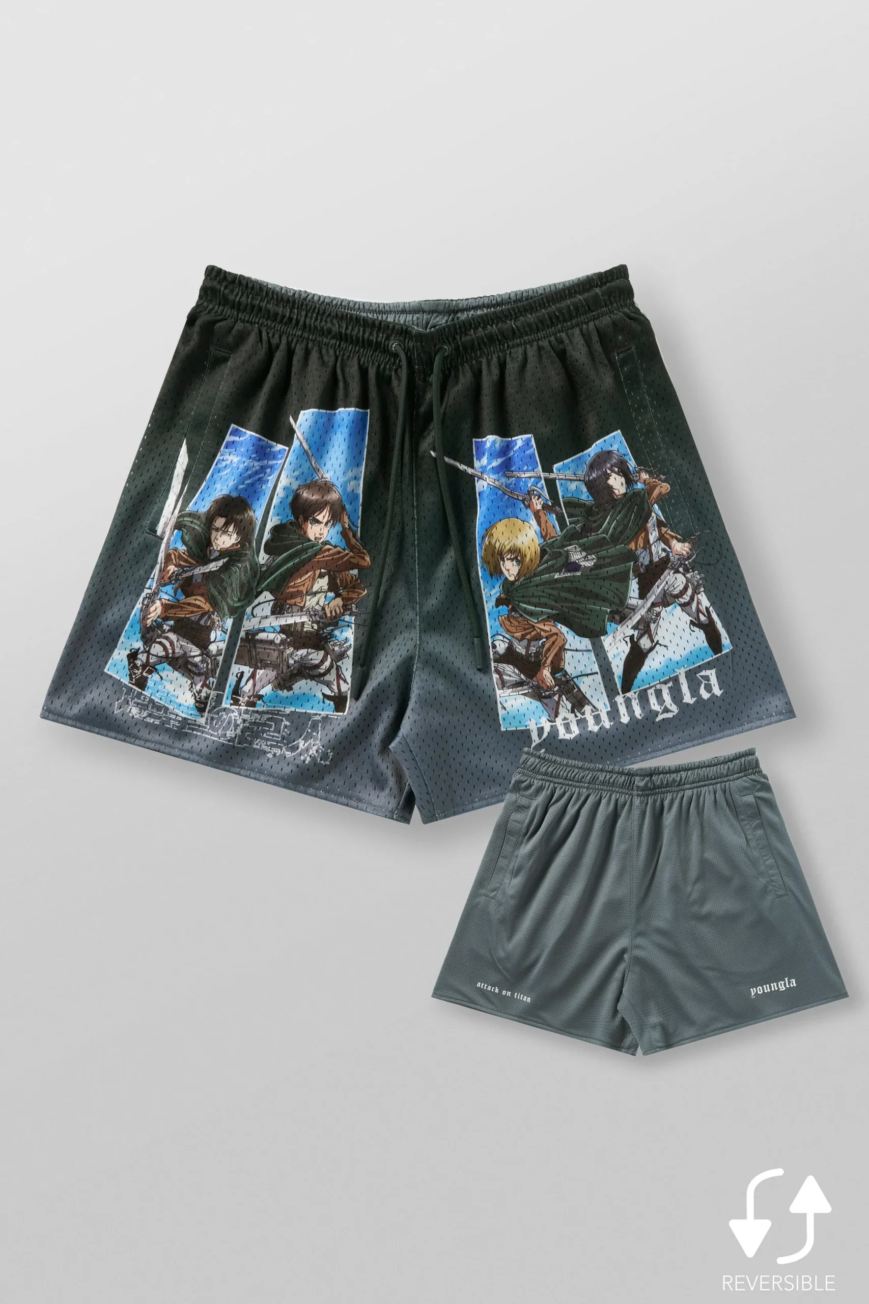 1126 - AOT© x YLA Mesh Shorts