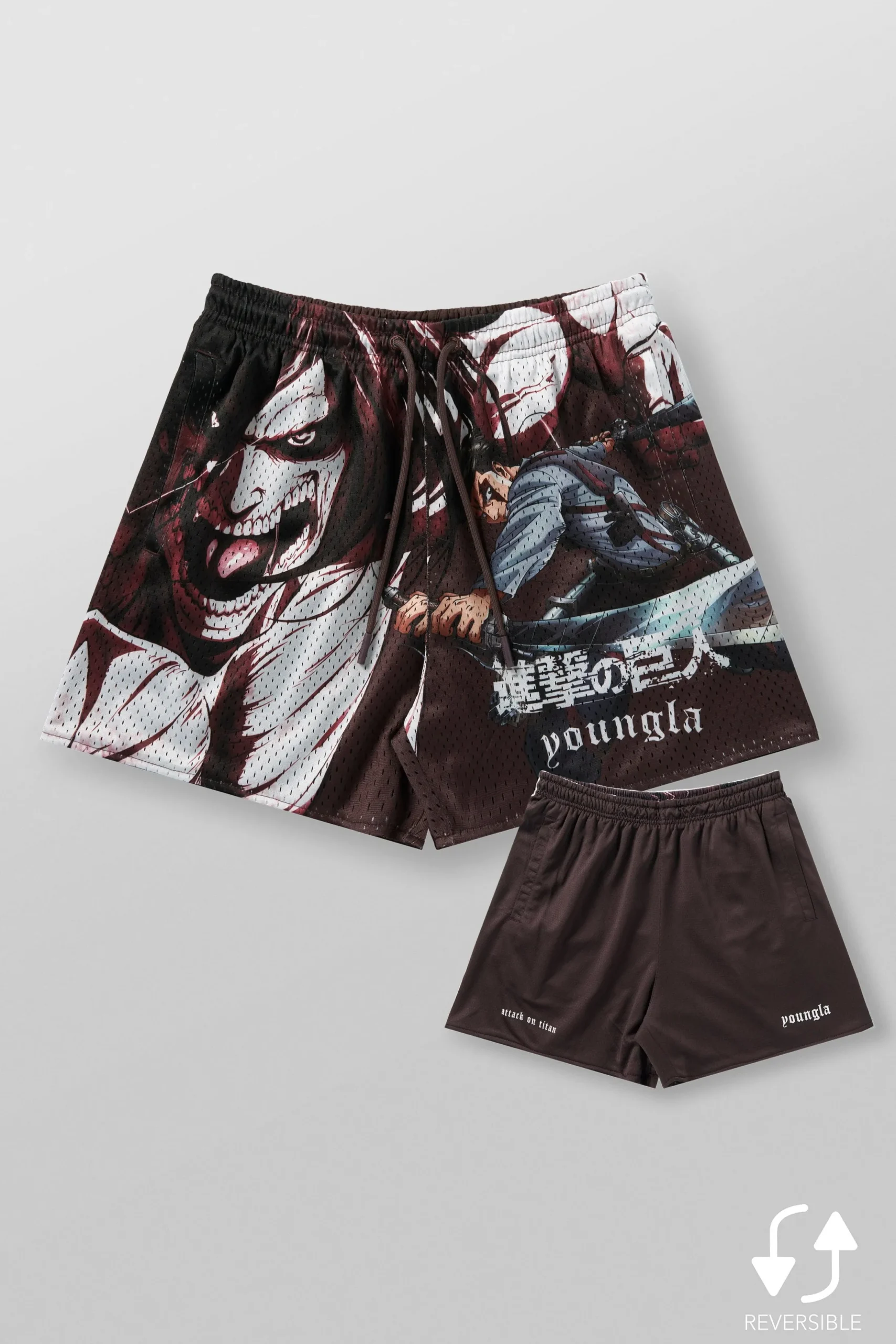 1126 - AOT© x YLA Mesh Shorts