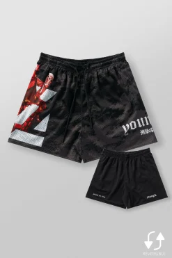 1126 - AOT© x YLA Mesh Shorts