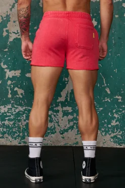 1132 - Golds Gym Bodybuilding Shorts