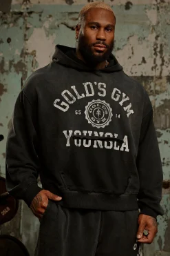 5167 - Gold's Iron Legacy Crest Hoodies