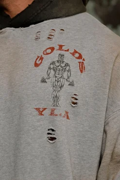 5168 - Gold's Iron Legacy Distress Hoodies