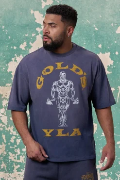 4213 - Gold's Iron Legacy Icon Tees