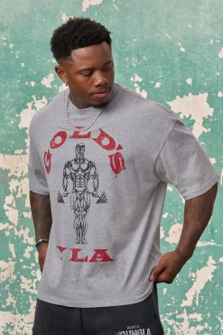 4213 - Gold's Iron Legacy Icon Tees