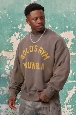 5166 - Gold's Iron Legacy Vintage Crewnecks