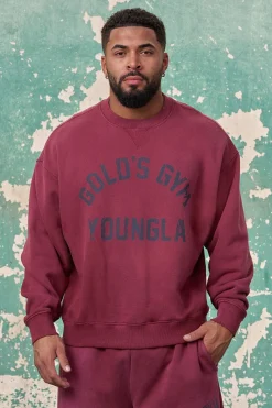 5166 - Gold's Iron Legacy Vintage Crewnecks