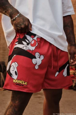 1098 - Looney Tunes Basketball Shorts