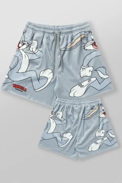 1098 - Looney Tunes Basketball Shorts