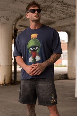 4301 - Looney Tunes Character Tees