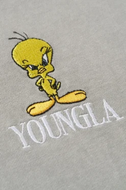 3107 - Looney Tunes Embroidered Cut-offs