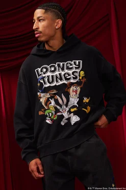 5114 - Looney Tunes Embroidered Hoodies