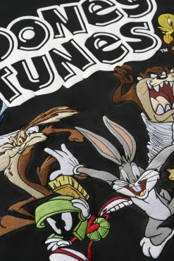 5114 - Looney Tunes Embroidered Hoodies