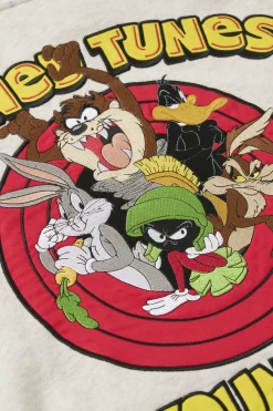 5114 - Looney Tunes Embroidered Hoodies