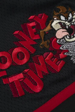 1071 - Looney Tunes Embroidered Patch Shorts