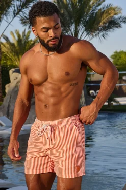 1056 - Striped Swim Shorts